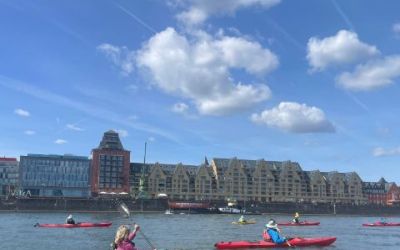 WhatsApp Image 2026-04-06 at 18.45.26.jpeg