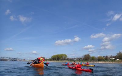 WhatsApp Image 2026-04-06 at 20.53.34.jpeg